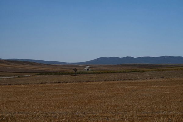 Boztepe Mahallesi'nde Yola Cepheli 480 m² Konut İmarlı Arsa