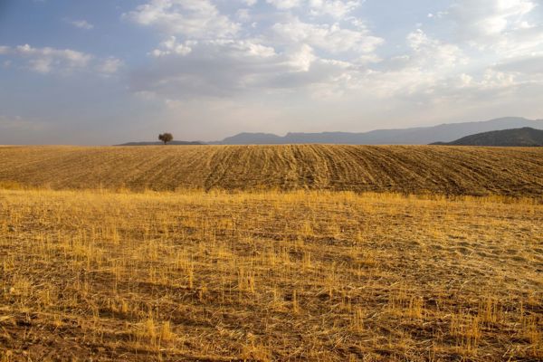 Kum'de 3.400 m² Yola Cepheli Tarla