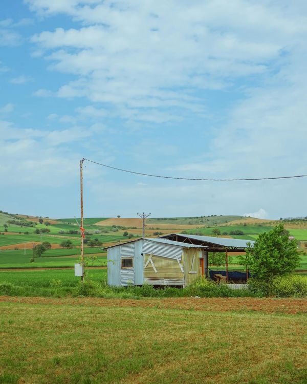 Şile'de 2.100 m² Bağ & Bahçe — Yol Kenarında